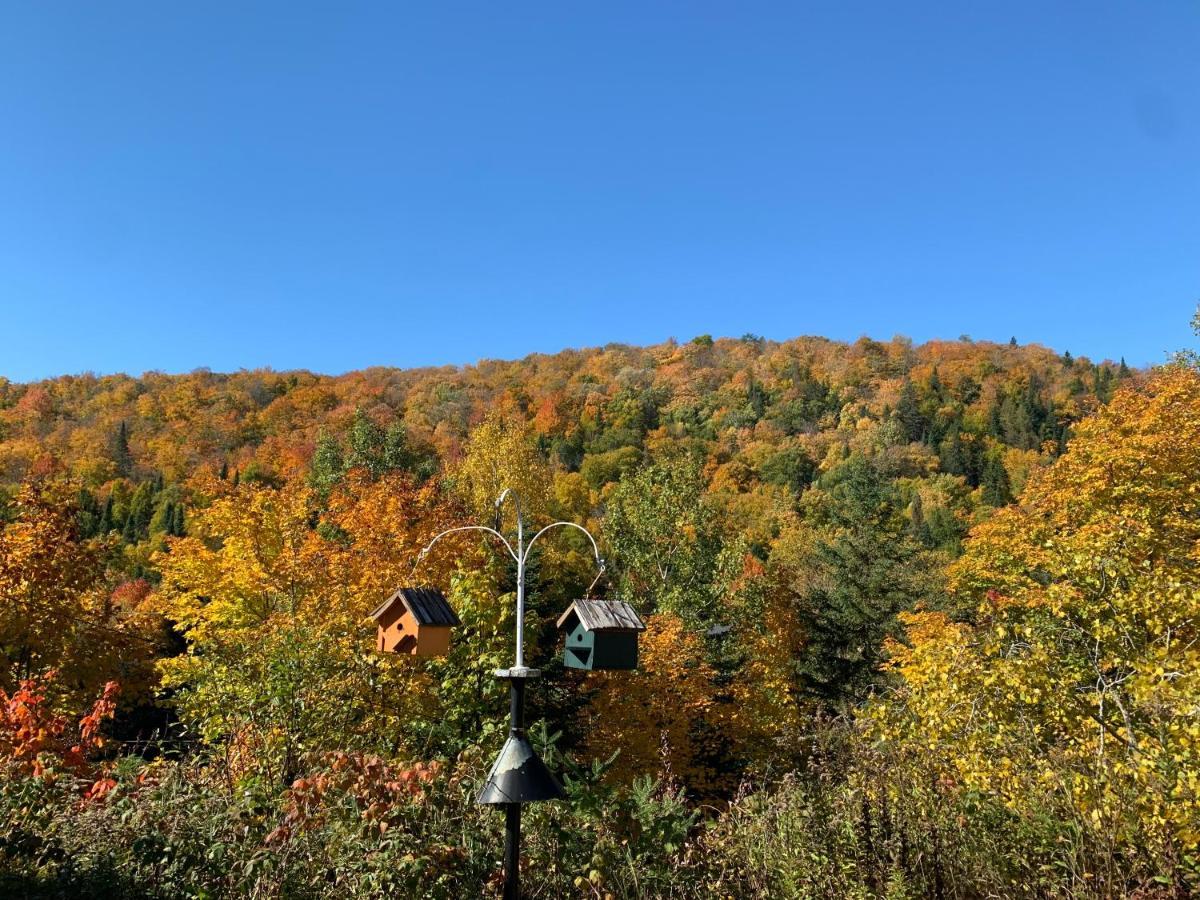 Loft Nature Laurentides Val-des-Lacs Eksteriør bilde