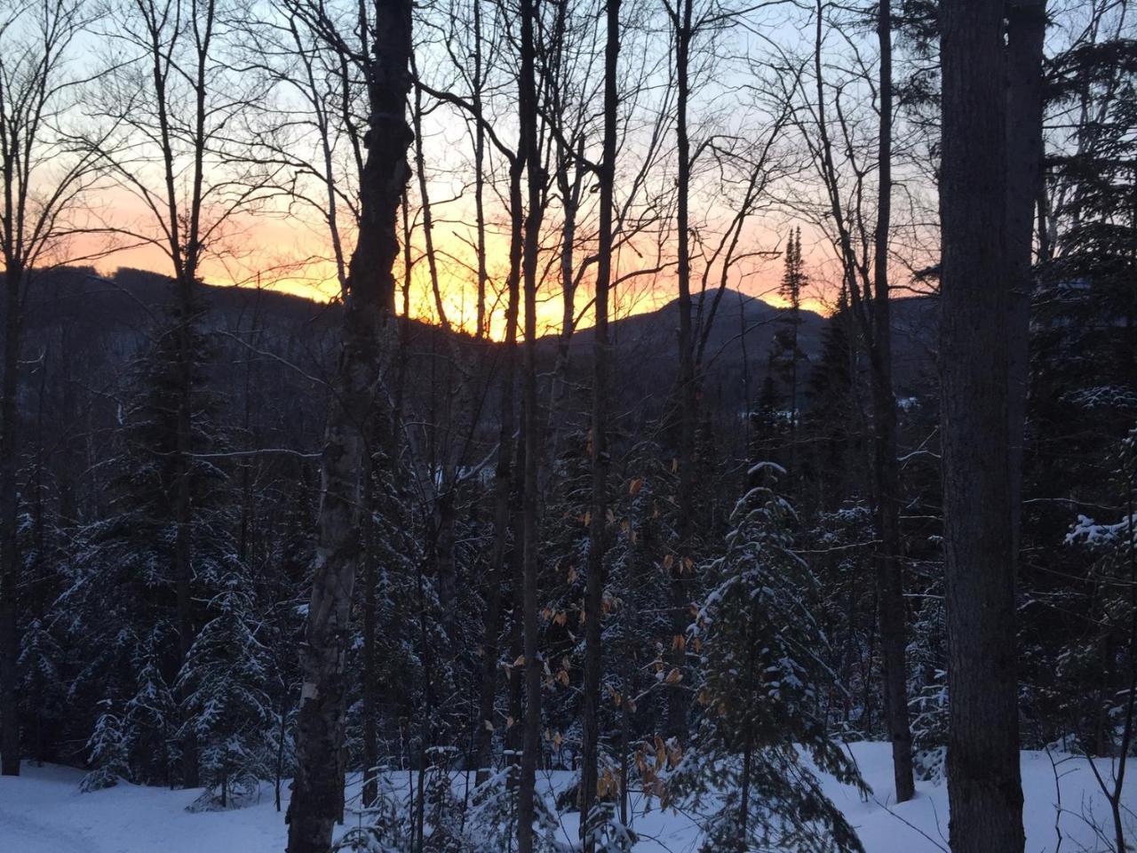 Loft Nature Laurentides Val-des-Lacs Eksteriør bilde